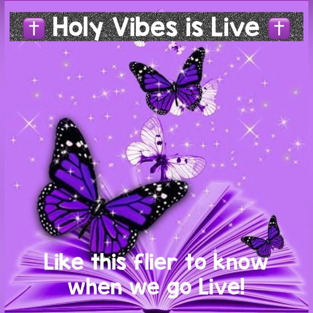 💜 HOLY VIBES LLC IS LIVE 💜